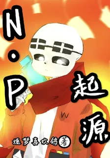 NP起源 封面