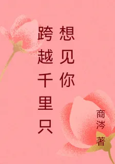 跨越千里只想見你 封面