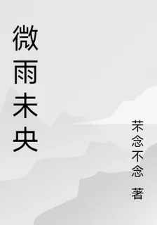 微雨未央 封面