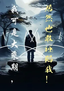 我可是大乘期，居然也敢誣陷我！ 封面