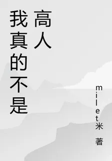 我真的不是高人啊 封面