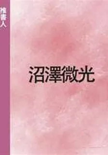 沼澤微光 封面