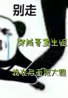 穿越哥重生姐，我在後面抱大腿 封面