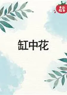 缸中花 封面