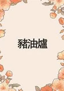 豬油爐. 封面