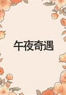 午夜奇遇 封面