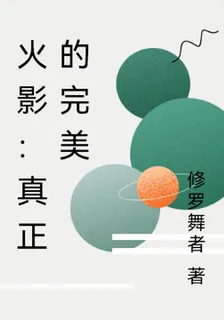 火影：真正的完美 封面