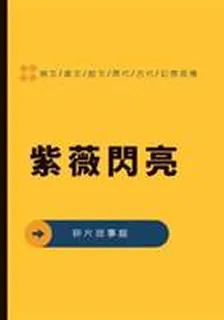 紫薇閃亮 封面