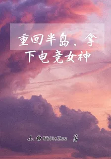 瓦批：被拋棄的電競天才 封面