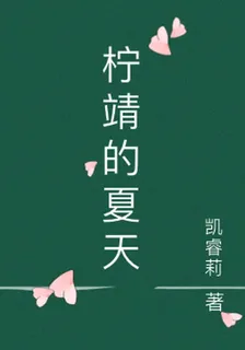 檸靖的夏天 封面