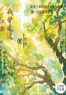 我曾愛過江南 封面
