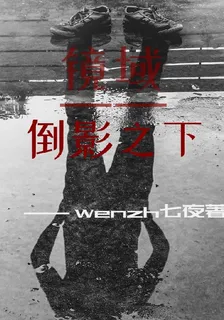 鏡域：倒影之下 封面