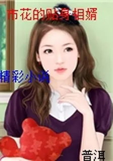 市花的貼身相婿 封面