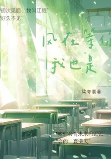 風在等你，我也是 封面