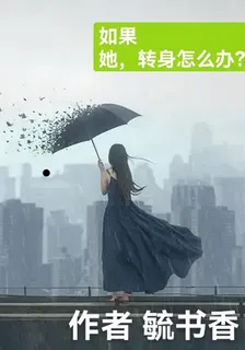 如果她，轉身怎麼辦？ 封面