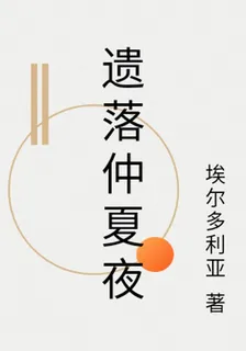 遺落仲夏夜 封面