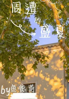 周遭的盛夏 封面