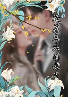 顧總太太回來了 封面