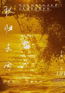 秋歸去兮 封面