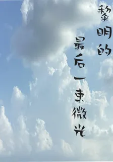 黎明的最後一束微光 封面