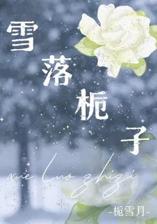 雪落梔子 封面