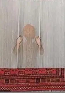 家庭的囚籠 封面