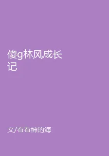 傻g林風成長記 封面