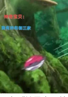 神奇寶貝：我有所有御三家 封面