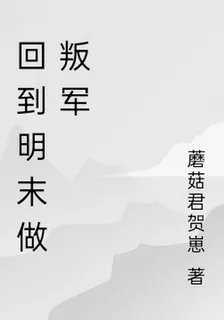 回到明末做叛軍 封面