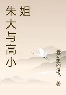 朱大與高小姐 封面