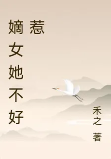 蘇小姐她不好惹 封面