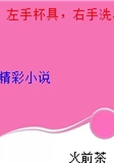 左手杯具，右手洗具 封面