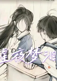 星夜夢淚 封面