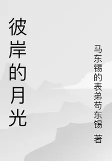 彼岸的月光 封面