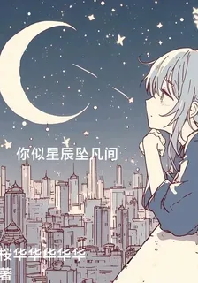 你似星辰墜凡間 封面
