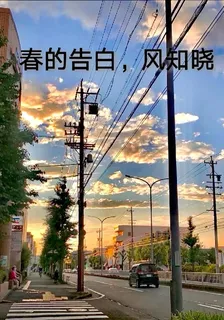 風的告白，春知曉 封面
