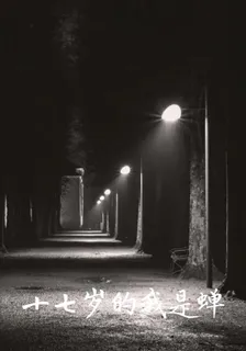 十七歲的我是蟬 封面