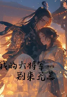 我的大將軍，別來無恙 封面