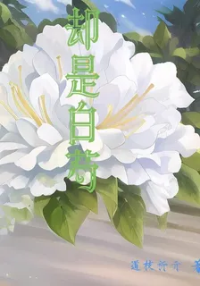 卻是白芍 封面