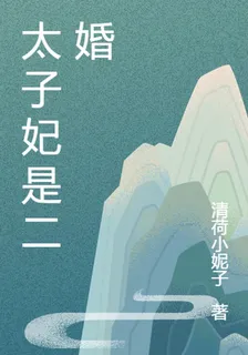 太子妃是2婚 封面