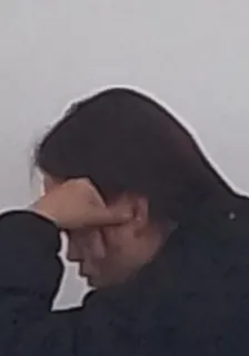 她叫李情 封面