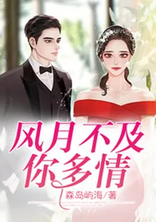 風月不及你多情 封面