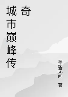 城市巔峯傳奇 封面
