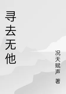 尋去無他 封面
