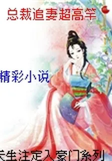 總裁追妻超高竿 封面