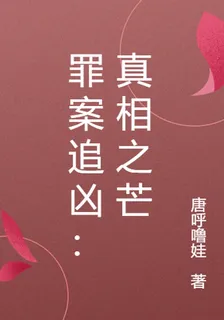 罪案追兇：真相之芒 封面