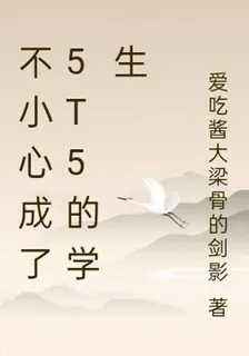 不小心成了5t5的學生 封面