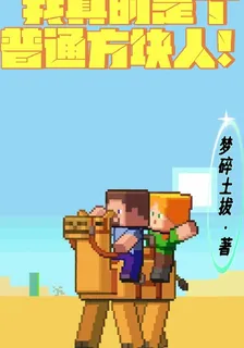 我真是個普通方塊人！ 封面