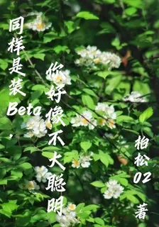 同樣是裝Beta你好像不大聰明 封面