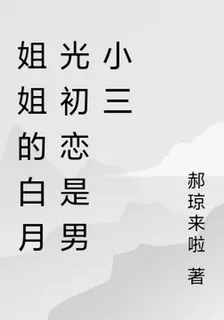 姐姐的白月光初戀是男小三 封面